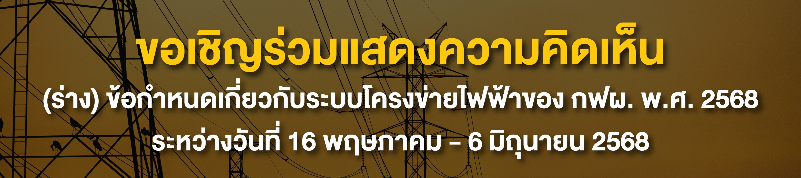 Public Hearing Banner